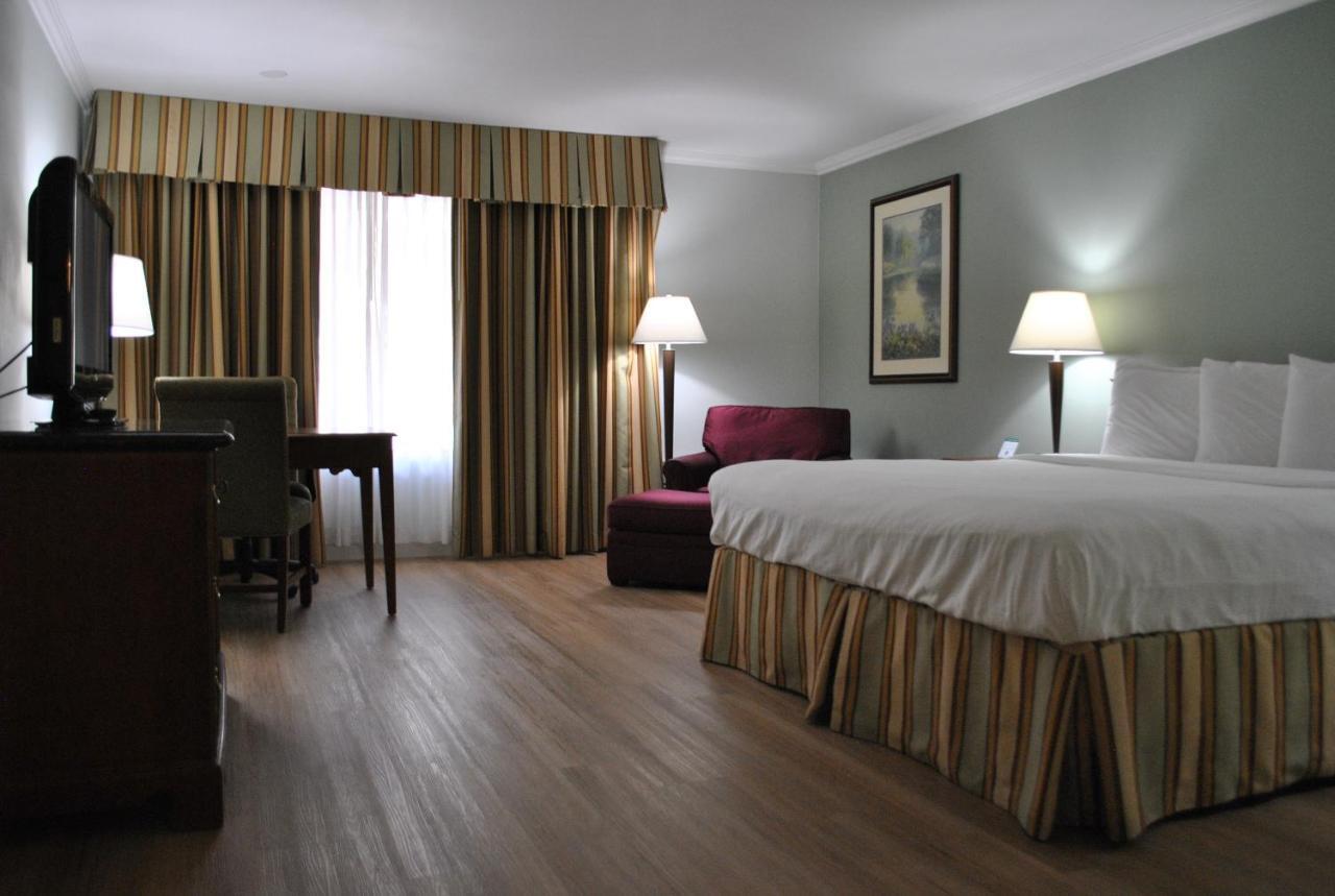 Superior King Room,959524774:JPEG